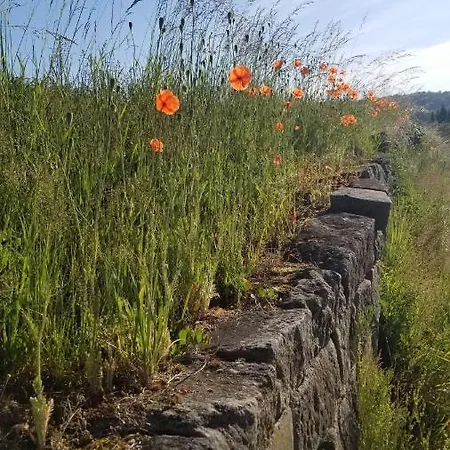 Διαμέρισμα Ferienwohnung-zum-malerweg Πίρνα