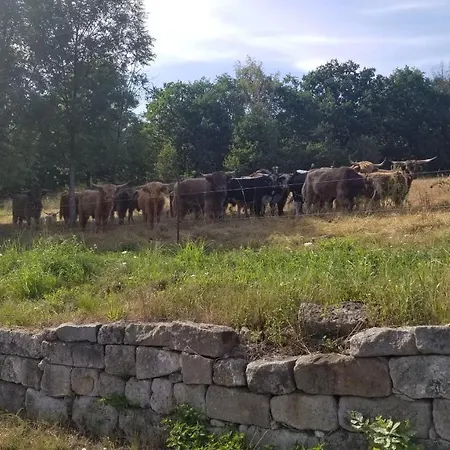 Ferienwohnung-zum-malerweg Διαμέρισμα Πίρνα
