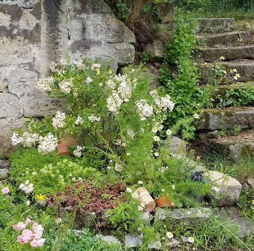 Ferienwohnung-zum-malerweg شقة بيرنا