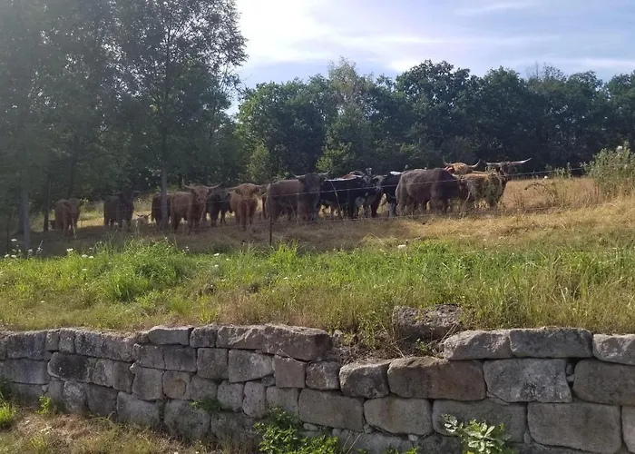 Ferienwohnung-zum-malerweg شقة بيرنا